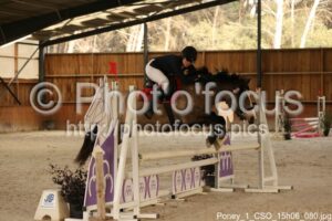 Poney_1_CSO_15h06_080.jpg