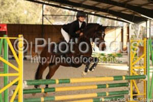Poney_1_CSO_15h07_083.jpg