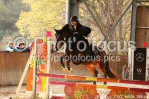 Poney_1_CSO_15h08_085.jpg