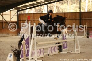 Poney_1_CSO_15h08_086.jpg