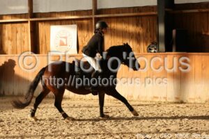 Poney_1_CSO_15h08_088.jpg