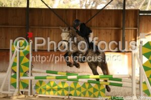 Poney_1_CSO_15h10_090.jpg