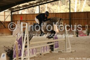 Poney_1_CSO_15h10_092.jpg