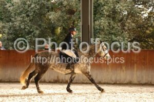 Poney_1_CSO_15h10_095.jpg