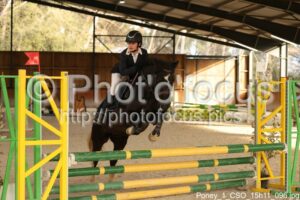 Poney_1_CSO_15h11_096.jpg
