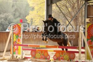 Poney_1_CSO_15h12_098.jpg