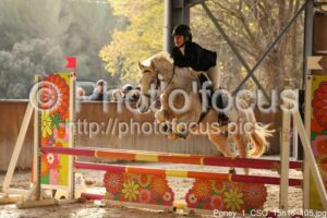 Poney_1_CSO_15h16_105.jpg