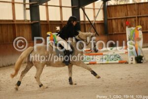 Poney_1_CSO_15h16_109.jpg