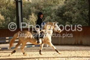 Poney_1_CSO_15h16_110.jpg