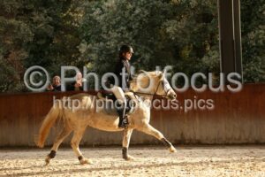 Poney_1_CSO_15h16_111.jpg
