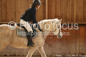 Poney_1_CSO_15h16_113.jpg