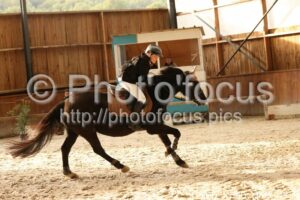 Poney_1_CSO_15h19_119.jpg