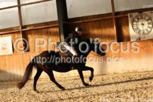 Poney_1_CSO_15h19_120.jpg