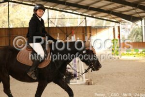 Poney_1_CSO_15h19_124.jpg