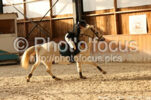 Poney_1_CSO_15h21_131.jpg