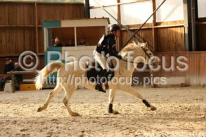 Poney_1_CSO_15h23_141.jpg