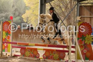 Poney_1_CSO_15h25_144.jpg