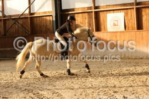 Poney_1_CSO_15h25_147.jpg