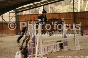 Poney_1_CSO_15h27_151.jpg