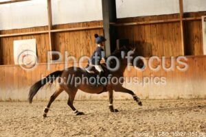Poney_1_CSO_15h27_154.jpg