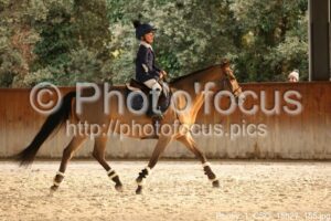 Poney_1_CSO_15h27_155.jpg