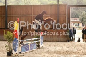 Poney_1_CSO_15h32_173.jpg