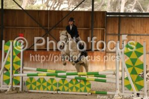 Poney_1_CSO_15h34_176.jpg