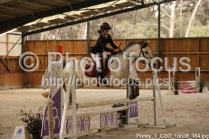 Poney_1_CSO_15h38_184.jpg