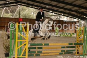 Poney_1_CSO_15h39_188.jpg