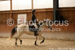 Poney_1_CSO_15h40_193.jpg