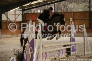 Poney_1_CSO_16h03_200.jpg