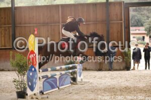 Poney_1_CSO_16h04_201.jpg