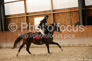 Poney_1_CSO_16h04_203.jpg