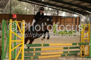 Poney_1_CSO_16h04_204.jpg