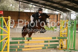 Poney_1_CSO_16h07_210.jpg