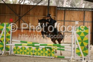 Poney_1_CSO_16h07_211.jpg