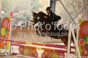 Poney_1_CSO_16h07_212.jpg