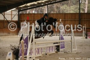 Poney_1_CSO_16h07_213.jpg