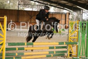 Poney_1_CSO_16h08_215.jpg