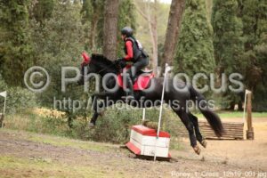 Poney_1_Cross_12h19_001.jpg