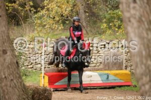 Poney_1_Cross_12h21_002.jpg