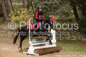 Poney_1_Cross_12h21_003.jpg