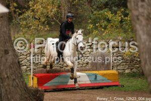 Poney_1_Cross_12h23_004.jpg