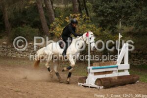 Poney_1_Cross_12h23_005.jpg