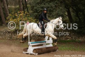 Poney_1_Cross_12h23_006.jpg