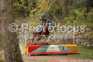 Poney_1_Cross_12h28_007.jpg