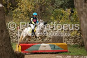 Poney_1_Cross_12h29_009.jpg