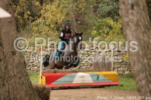 Poney_1_Cross_12h31_011.jpg
