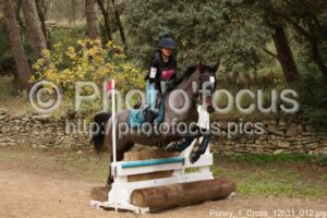 Poney_1_Cross_12h31_012.jpg