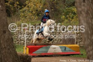 Poney_1_Cross_12h33_013.jpg